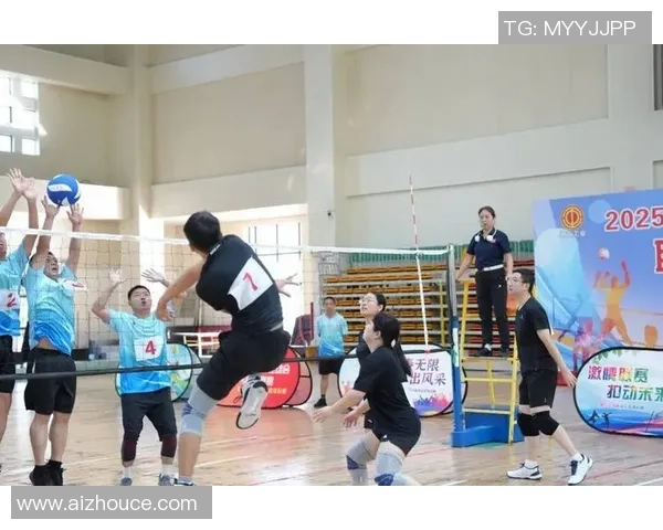 南京排球队的节奏与魅力探秘：一场激情四溢的排球盛宴
